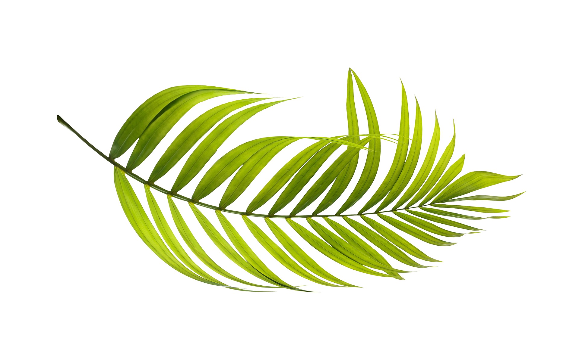 济宁医学院学费(考上了济宁医学院研究生,咨询下,开学学费大约会交多少)